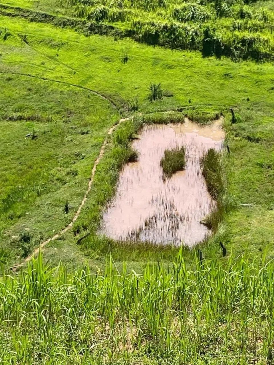 Sítio em em Conceição de macabu  - Foto 2