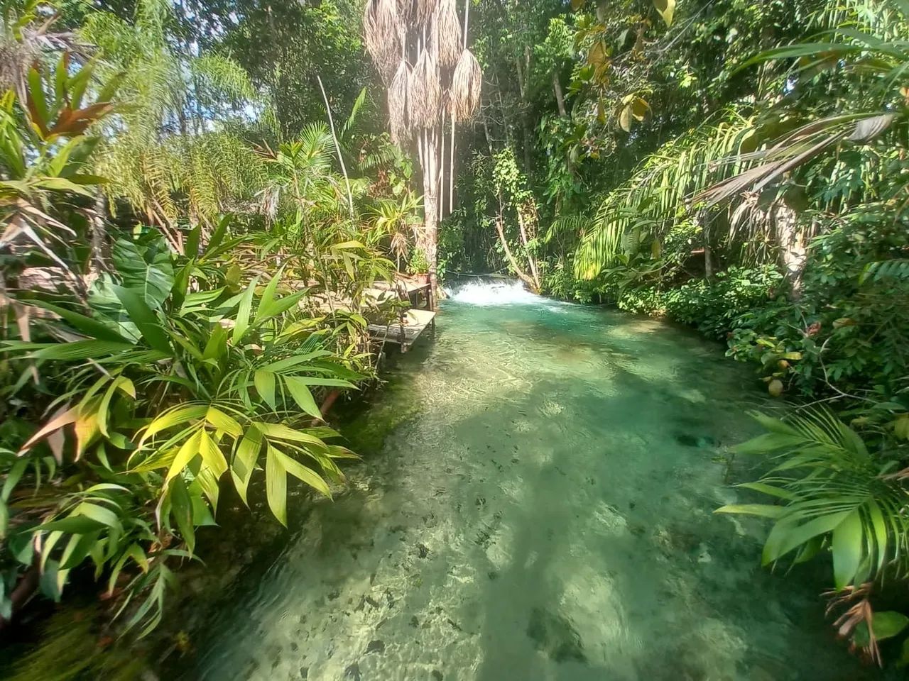 Vendo Cachoeira Paradisíaca no Rio Formiga - Jalapão - Foto 5