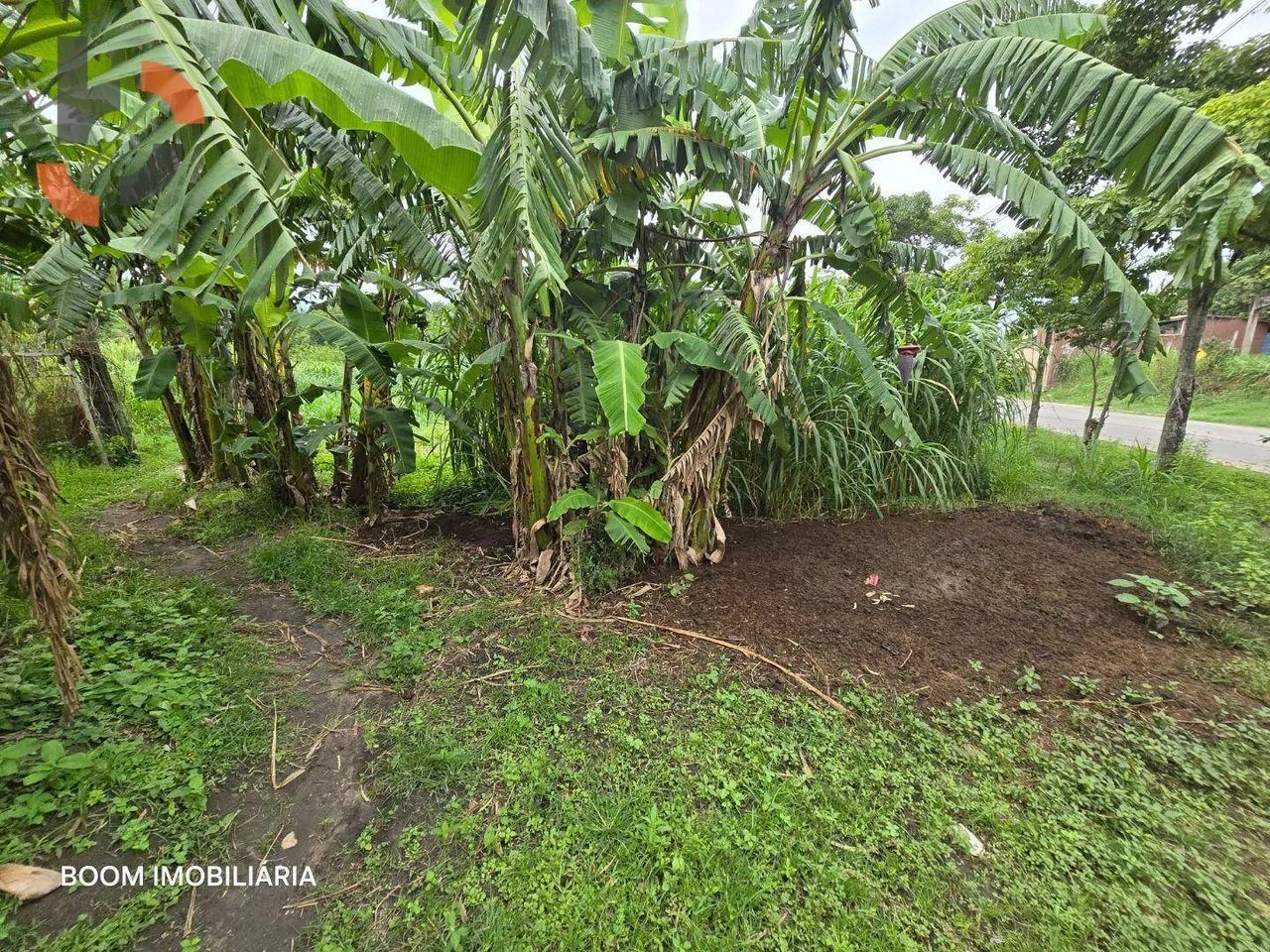 Sítio com 1 dormitório à venda, 36480 m² por R$ 3.000.000,00 - Santa Rosa - Queimados/RJ - Foto 14