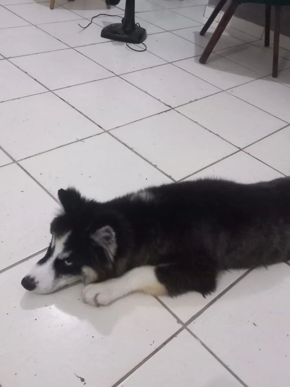 Vendo - Foto 2
