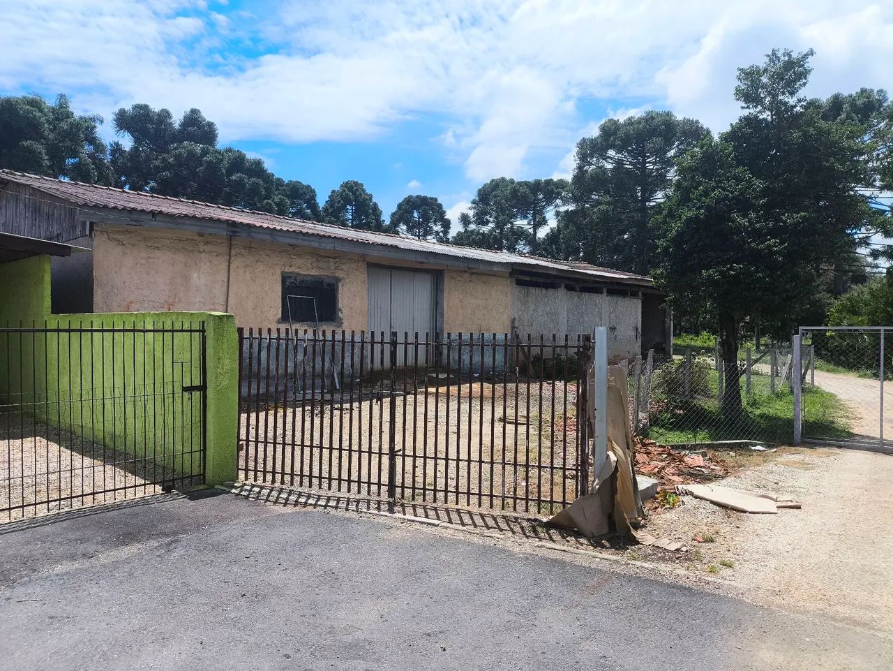 Foto - Araucária - Boqueirão