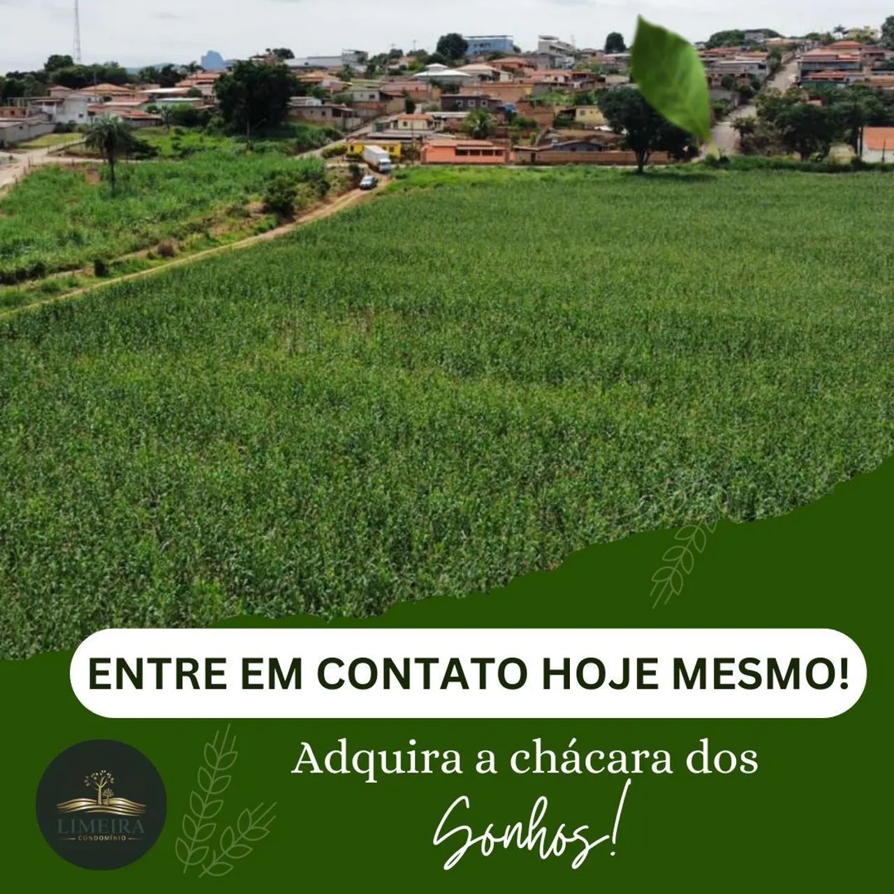 Lotes em serra azul Mateus leme  - Foto 4