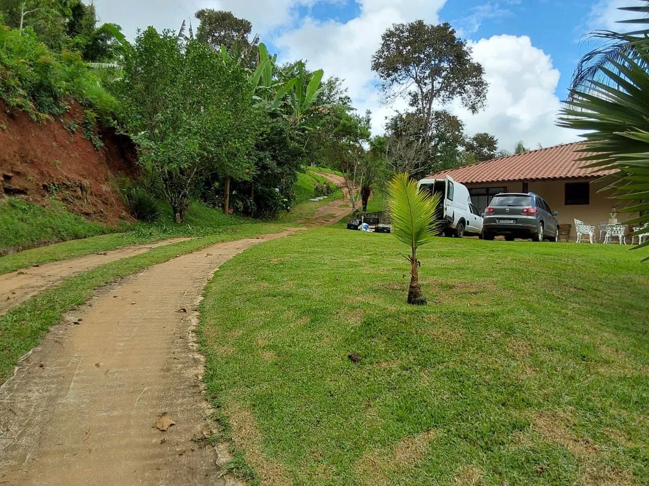VENDO SÍTIO  - Foto 4