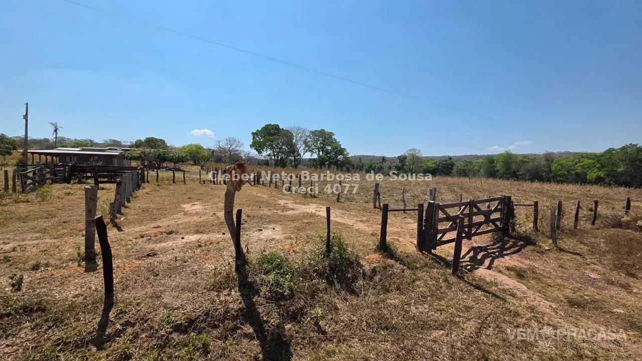 VENDO CHÁCARA DE 100 HECTARES EM AQUIDAUNAI - Foto 5