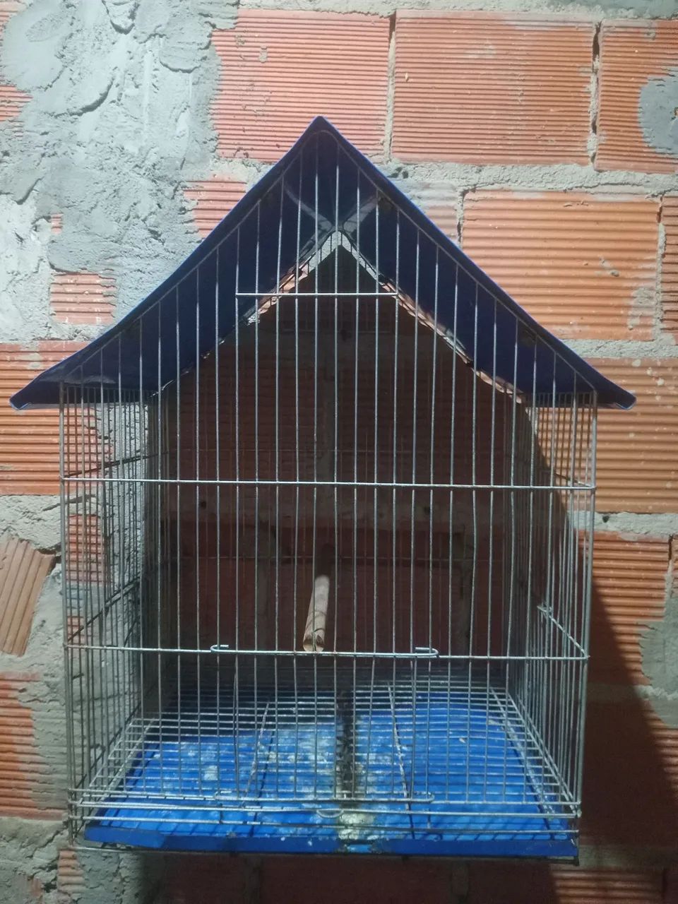 Gaiola de ferro  - Foto 2