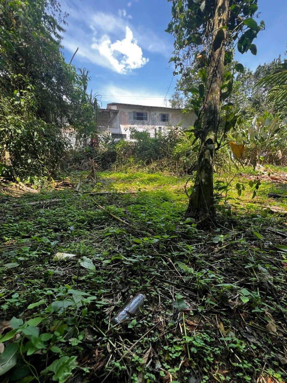Vendo terreno no Ubatumirim  - Foto 3