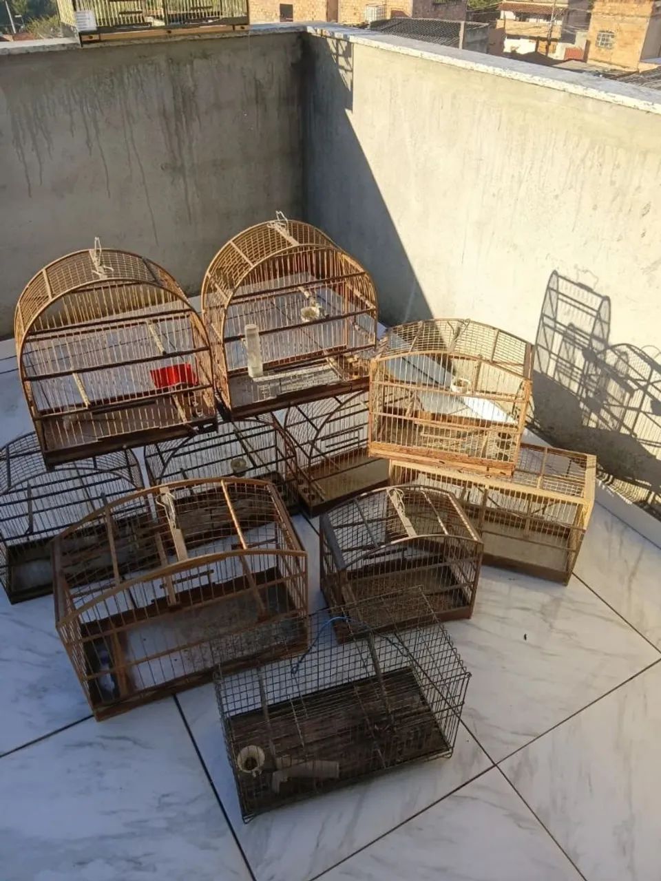 Gaiolas para pássaros 