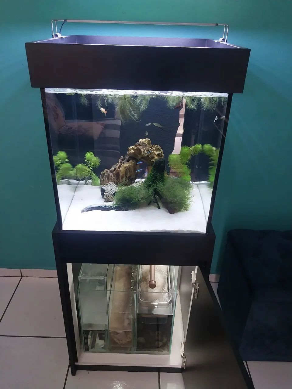 Aquário sump completo  - Foto 2