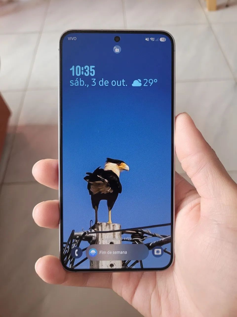 Galaxy S25 256GB 12GB Ram Cinza e 8 meses de uso