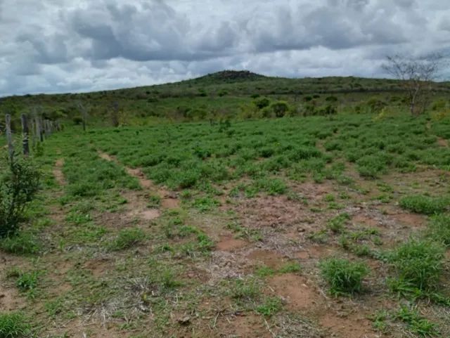 FAZENDA EM NOVA ITARANA - 611 TAREFAS - Foto 2