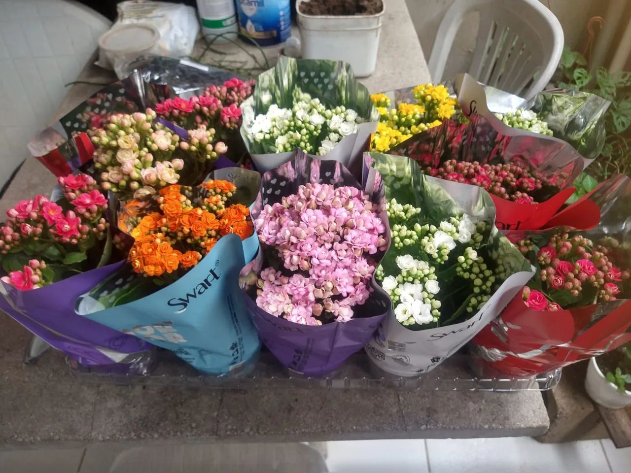 Plantas