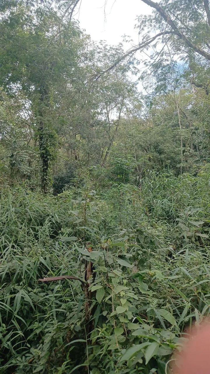 Chácara  - Foto 2
