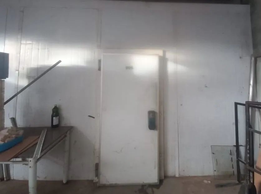 Câmara Fria- Profissional à Venda! - Foto 3