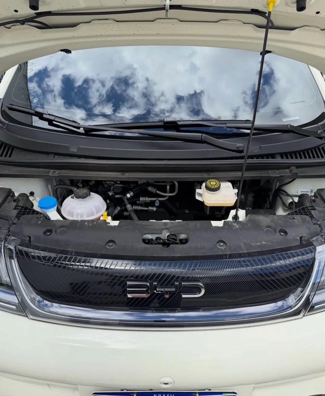 BYD Dolphin EV (Elétrico) 2027 - Foto 5