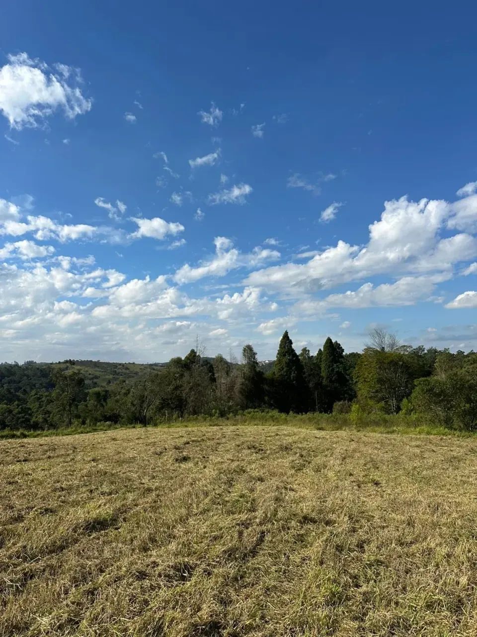 Invista em Mairinque | 1.000m² em Condomínio Fechado - Foto 4