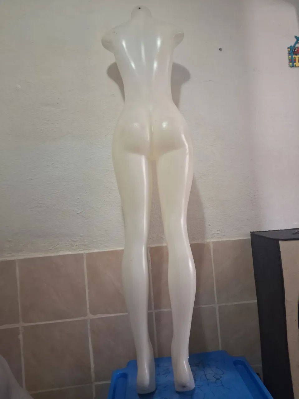 Loja (Manequim)  - Foto 4