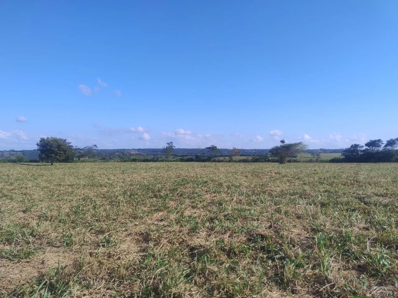 Sitio a venda - Foto 2