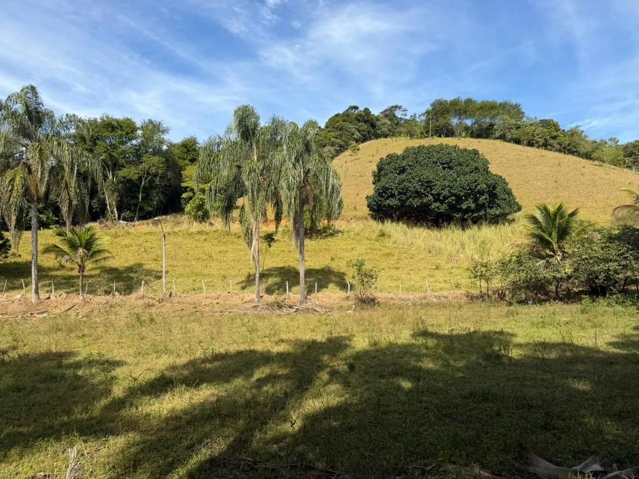 VENDE-SE SÍTIO 