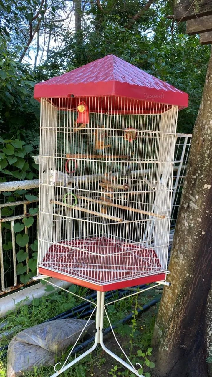 Viveiro sextavado bragança 