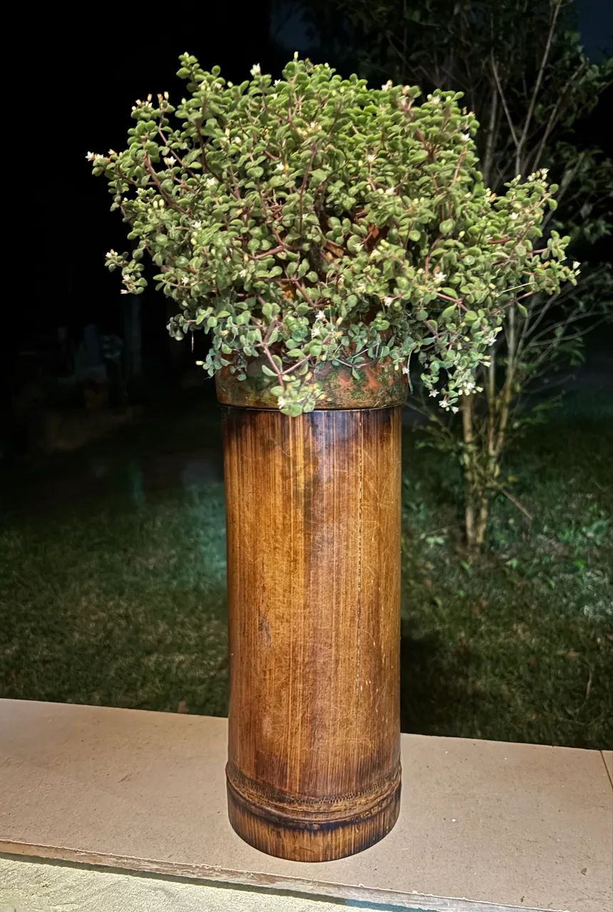 vaso de bambu envernizado 