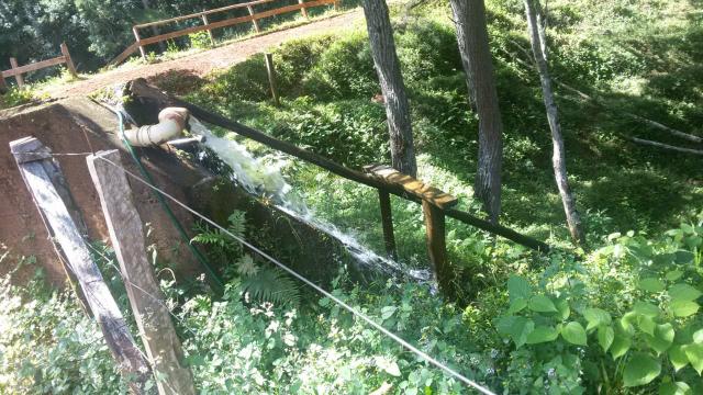 Fazenda pasto formado - Foto 4