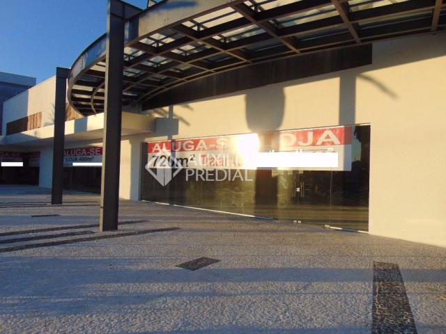 Loja comercial para alugar em Vila ipiranga, Porto alegre cod:242289 - Foto 3