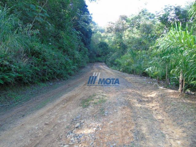 Fazenda antonina - Foto 13