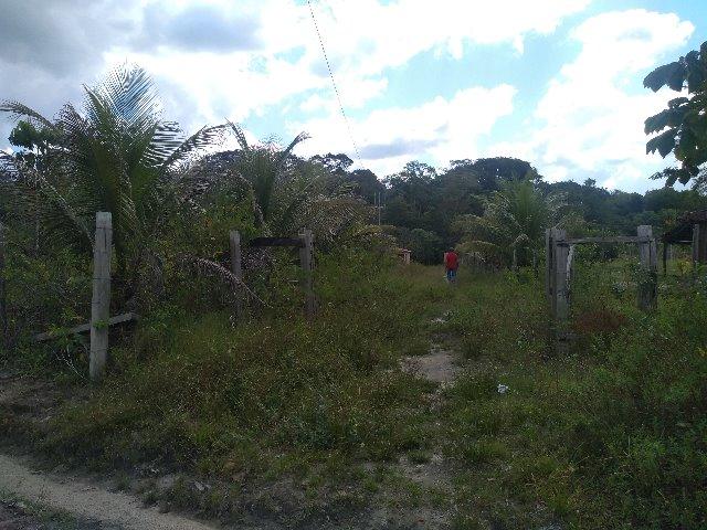70 mil reais sito antes a Terra Alta no Pará 100x120 ,igarape ,cercado, casa zap * - Foto 4