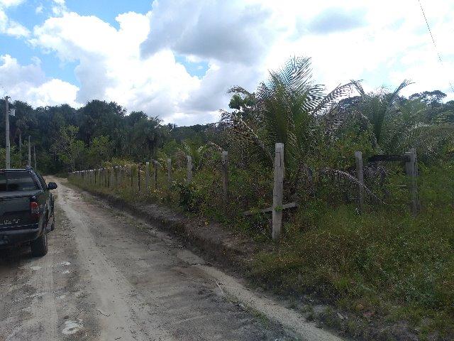 70 mil reais sito antes a Terra Alta no Pará 100x120 ,igarape ,cercado, casa zap * - Foto 6