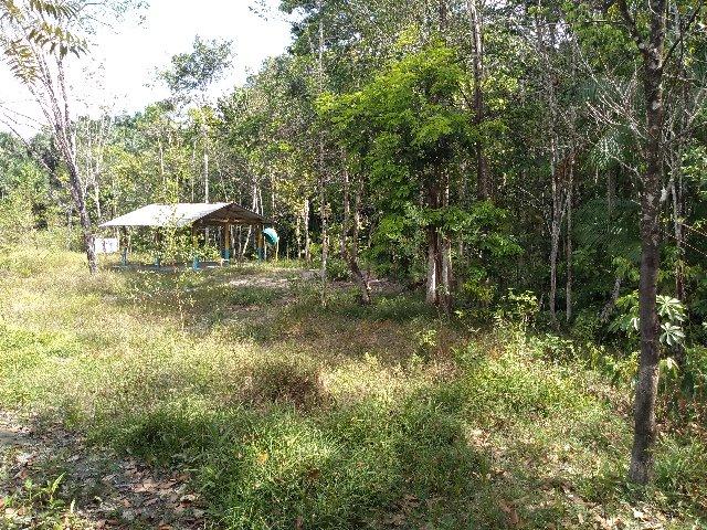 70 mil reais sito antes a Terra Alta no Pará 100x120 ,igarape ,cercado, casa zap * - Foto 13