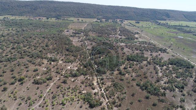 Fazenda para pecuária 650 ha na região santo antonio do leverger - Foto 6