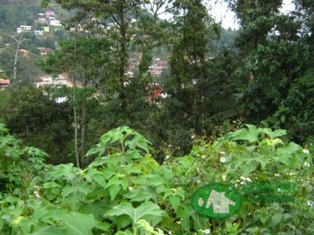 Terreno à venda em Quitandinha, Petrópolis cod:409 - Foto 7