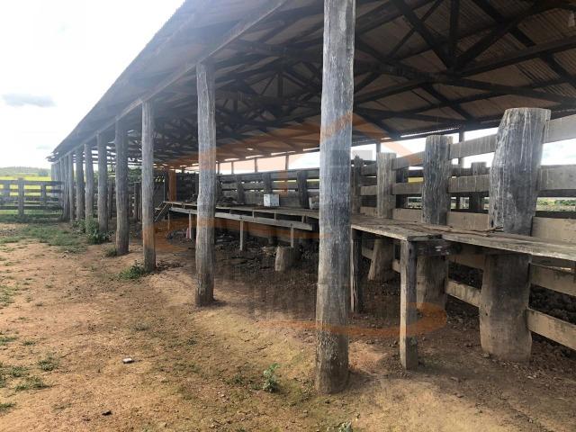 9Fazenda de 2.560 hectares para Venda, em Paranatinga / MT - Foto 9