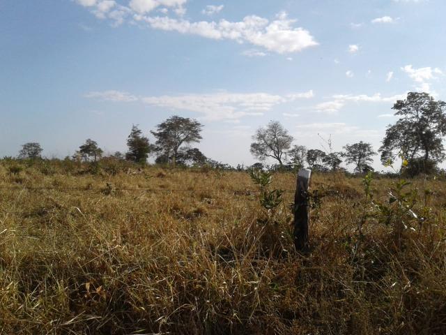 Fazenda 160 alqueires ( 774,4 hectares ) Pontal do Araguaia-MT \ Barra do Garça - Foto 7