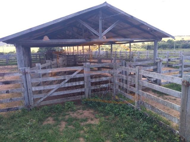 9Fazenda de 2.560 hectares para Venda, em Paranatinga / MT - Foto 10