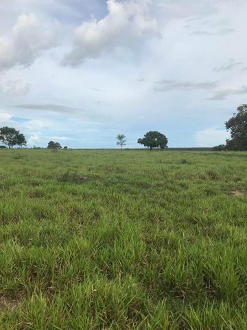 Fazenda 354,hectares