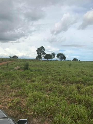 Fazenda 354,hectares - Foto 14