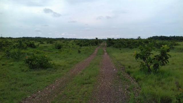 Fazenda Tocantins 1.626 ha gado pecuária soja Couto de Magalhães prox. Guaraí Palmas - Foto 9