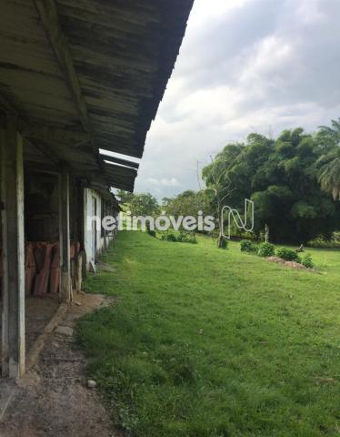 Sítio à venda em Jauá, Camaçari cod:776377 - Foto 4