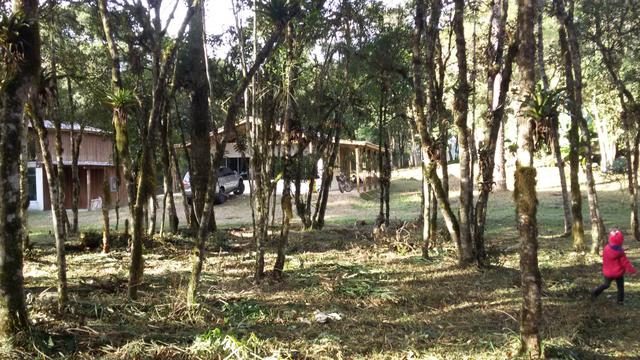 Vendo chácara próximo a Curitiba frente para BR 376 - Foto 3