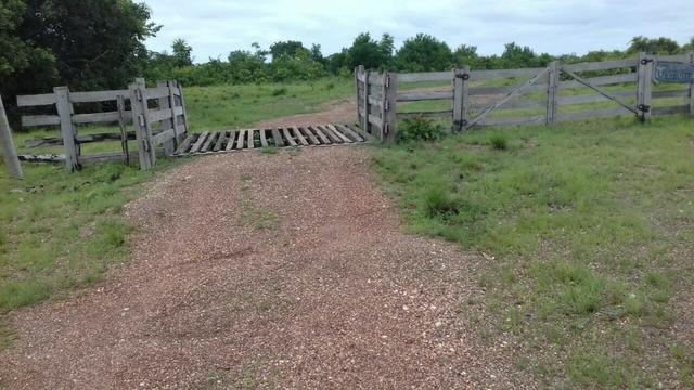 Fazenda Tocantins 1.626 ha gado pecuária soja Couto de Magalhães prox. Guaraí Palmas - Foto 5
