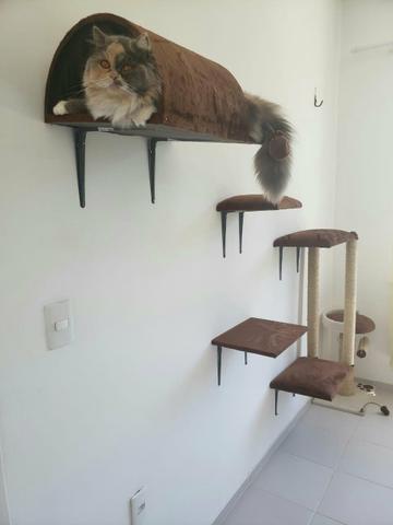 Prateleiras para gatos