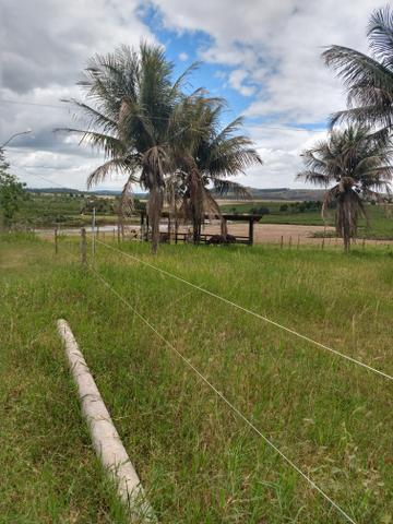 Vendo 7 alqueires Nova Venécia - Foto 5