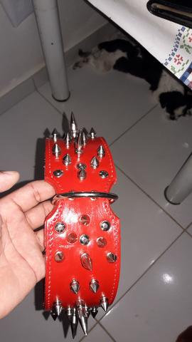 COLEIRAS SPAIK DE PINOS