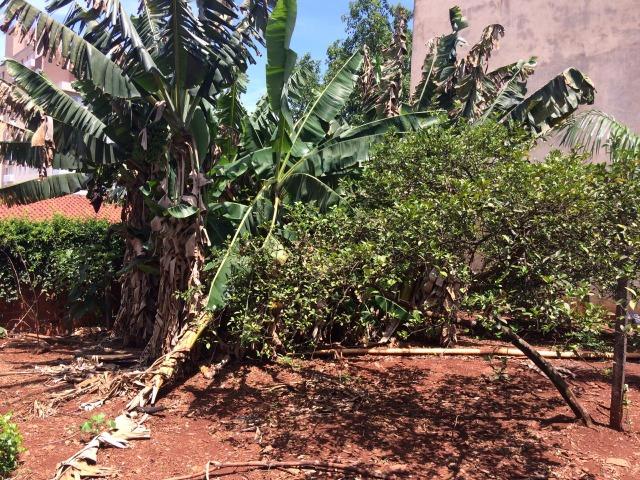 Oportunidade de Negócio* ótimo terreno para construção na Rua Visconde Taunay - Foto 11