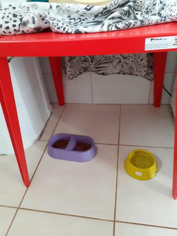 Celular LG k9, um microondas, e um jogo de mesa Tramontina - Foto 2