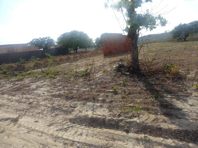 Terreno - Foto 2