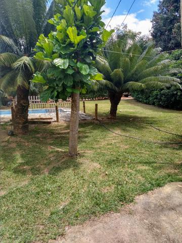 Vendo 7 alqueires Nova Venécia - Foto 3