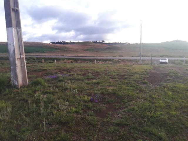 Vendo ótimo propriedade para comércio 7 .5 hc de frente para rota sol - Foto 6