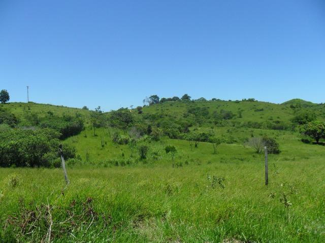 Sítio em São Vicente - Araruama / RJ - Foto 10